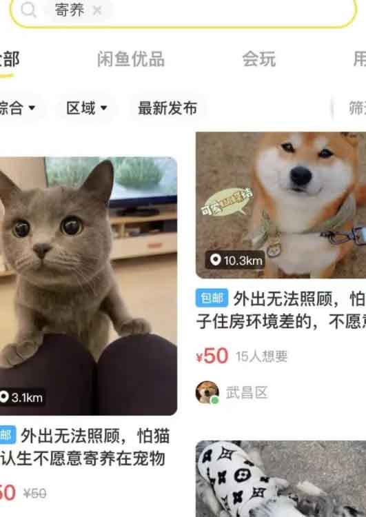 最新更新拉拉米抢单发单任务大厅源码+二开ui带视频介绍+ 放量功能+福利包余额宝